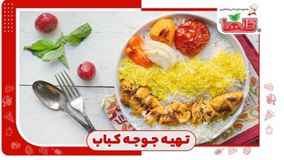 طرز تهیه جوجه کباب ساده و طعم‌دار به ۸ روش لذیذ و خوشمزه